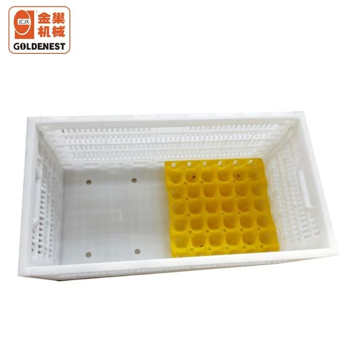 Poultry Equipment Plastic Circulating Crates For Chicken Transport Poultry Equipment Plastic Circulating Crates For Chicken Transport
