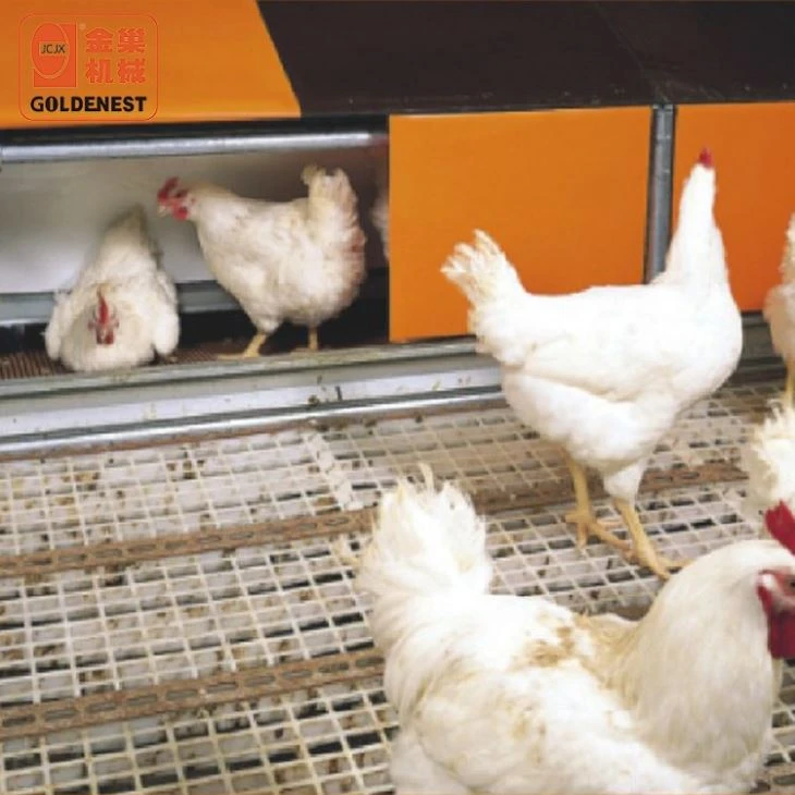 Poultry Breeder Egg Nest System With 24 Holes Poultry Breeder Egg Nest System With 24 Holes
